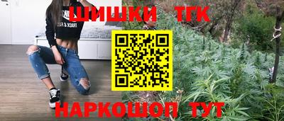 индика Шахты