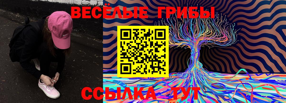 Брянск  Псилоцибиновые грибы MAGIC MUSHROOMS  Вход с VPN 